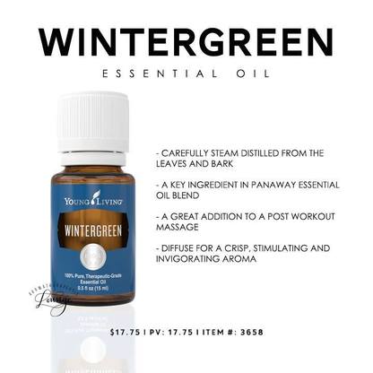Wintergreen essential oil properties, uses and health benefits